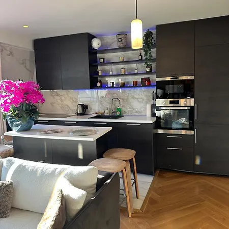 Beautiful Terrace Invalides And Fireplace